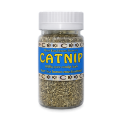 CATNIP