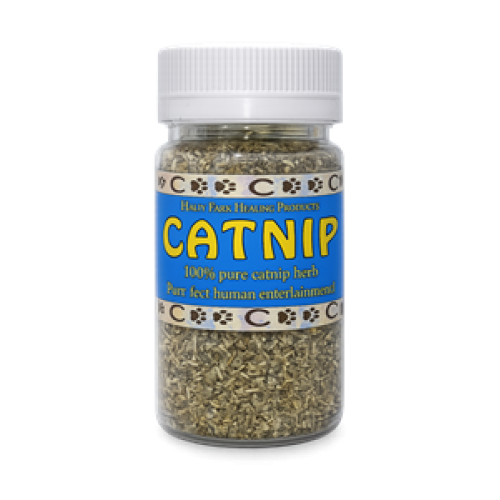 CATNIP